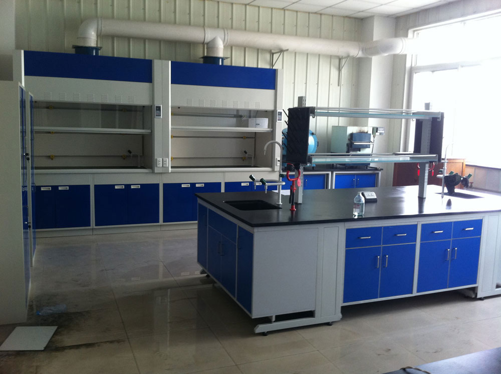 實(shí)驗(yàn)室通風(fēng)柜（標(biāo)準(zhǔn)型、補(bǔ)風(fēng)型、聯(lián)體型、桌上型、落地式、不銹鋼通風(fēng)柜）