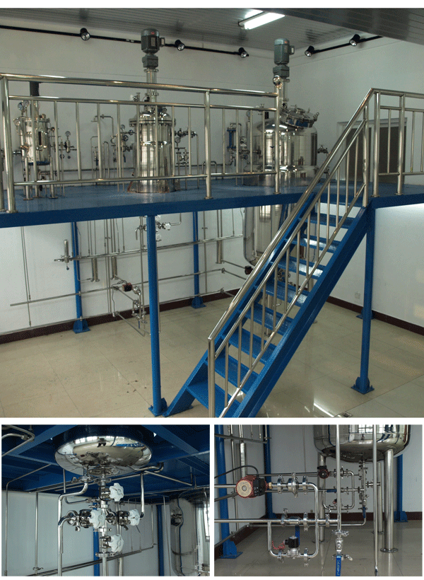 LG-CPJ10/100/1000L 三級(jí)不銹鋼發(fā)酵罐